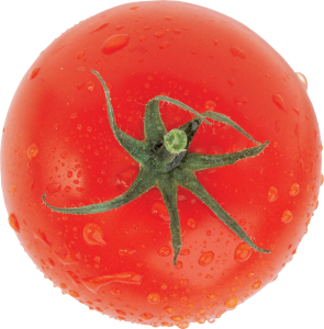 Tomato PNG-12553